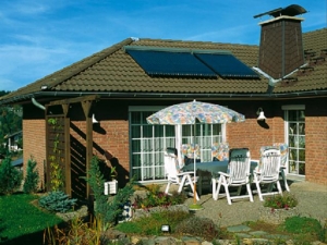 Vitosol 300-T Vitosol 300-T